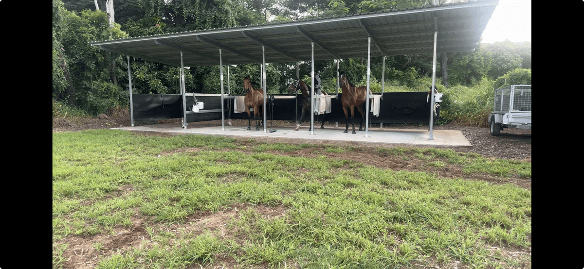 View recent photos.png