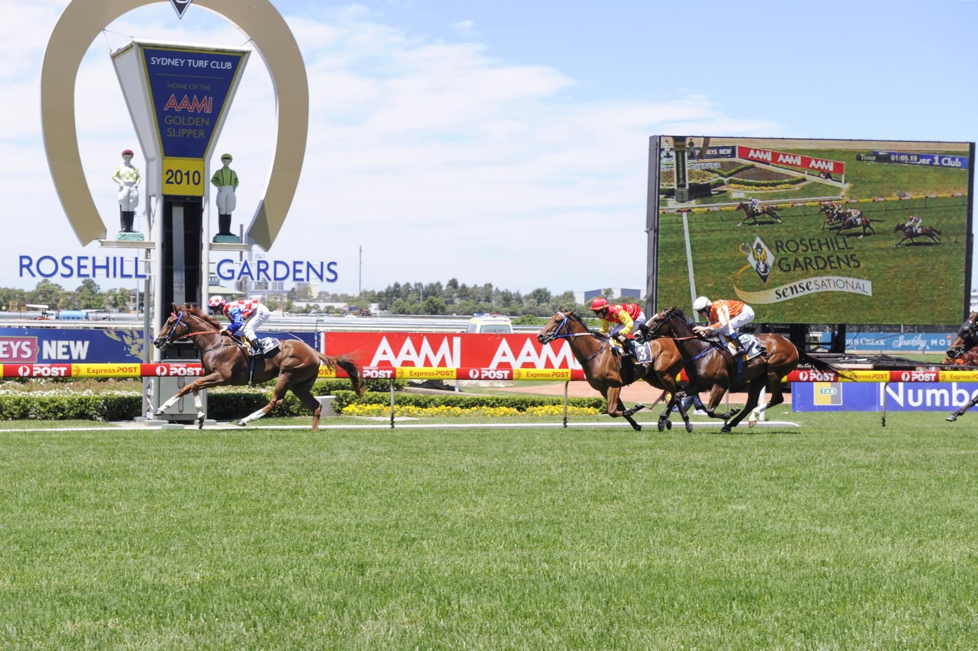 Falino,F_2_RH_11122010__A08 copy.jpg